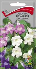 Азарина лазающая Смесь 10шт ПЦц