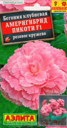 Бегония Америгибрид Пикоти F1 розовое кружево драже  5шт Аэлита