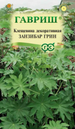 Клещевина Занзибар Грин 5шт ГШцветы
