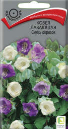 Кобея лазающая Смесь окрасок 5шт Поиск