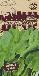 Щавель Изумрудный ковер 0,2гр Гавриш